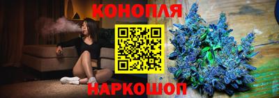 сатива Лесосибирск