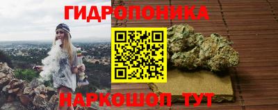сатива Лесосибирск