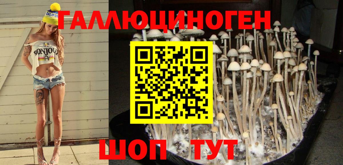 Вольск  Галлюциногенные грибы ЛСД  цена   Вход с VPN 
